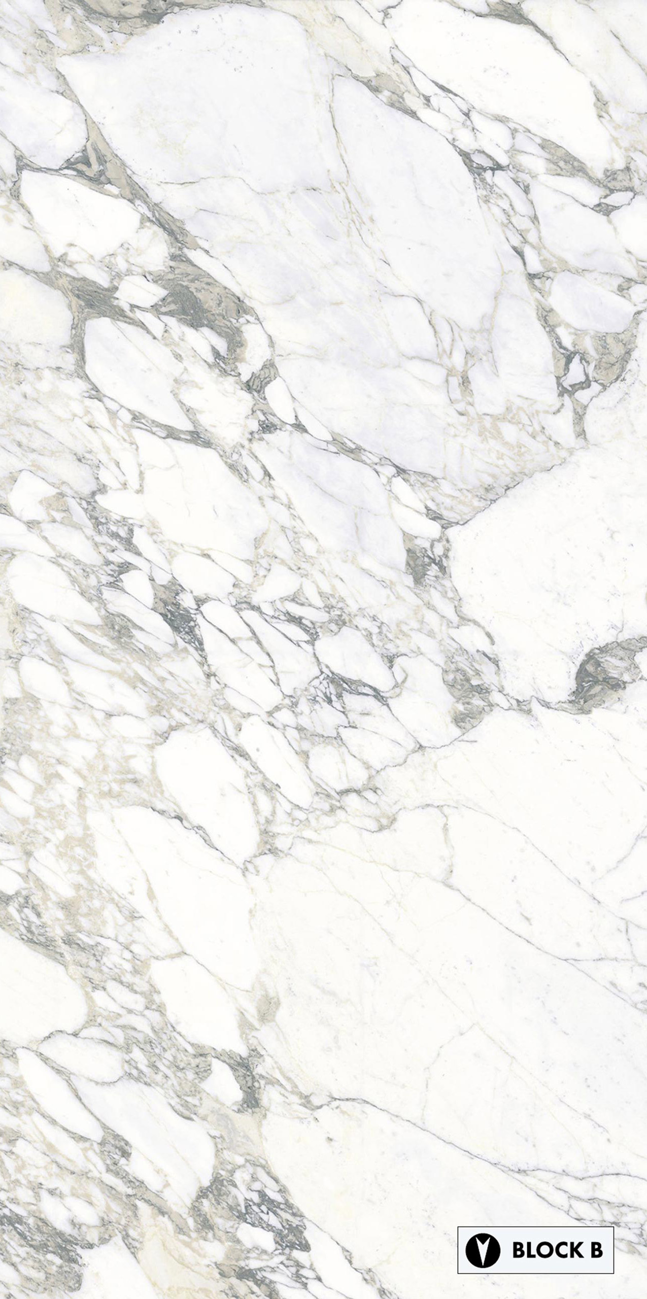 Ariostea Ultra Marmi Arabescato Statuario Bookmatched Block B Marble ...