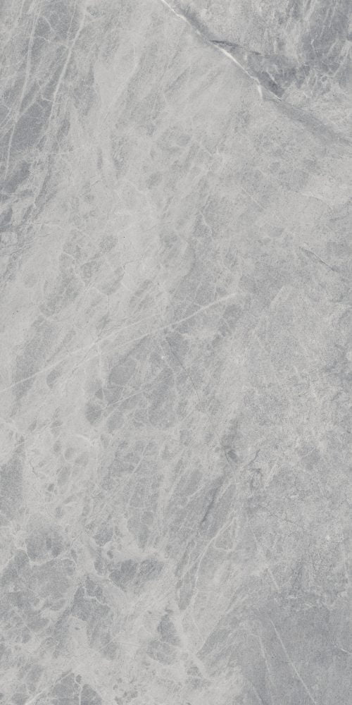 Ariostea Marmi Classici Gris De Savoie - 1000 x 2000  x 9 mm