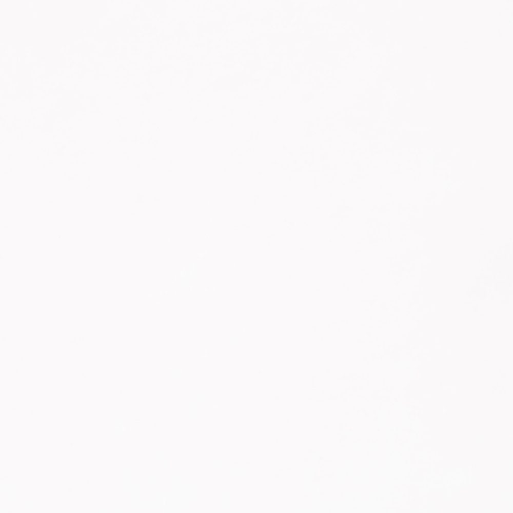 Swatch for Champion Brillante Bianco - 600 x 600  x 10 mm