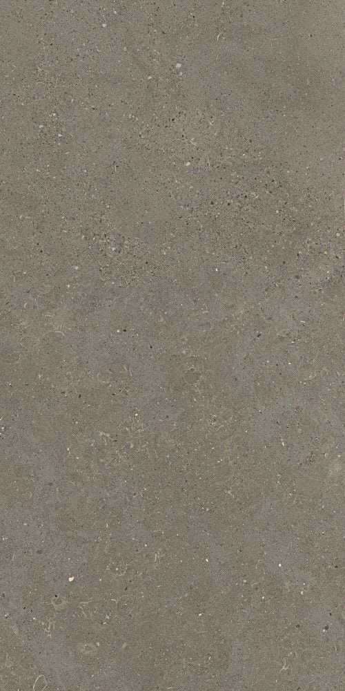 Fiandre Solida Grey - 600 x 1200  x 9 mm