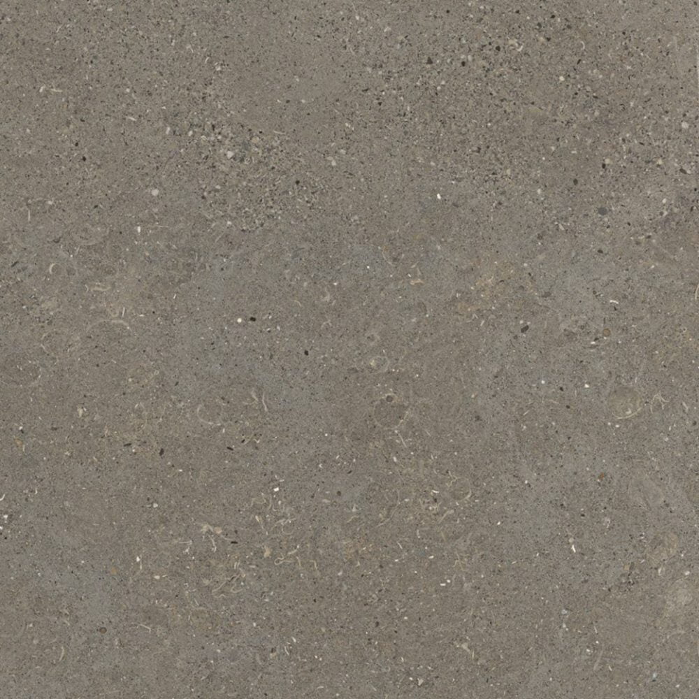 Fiandre Solida Grey - 1000 x 1000  x 6 mm
