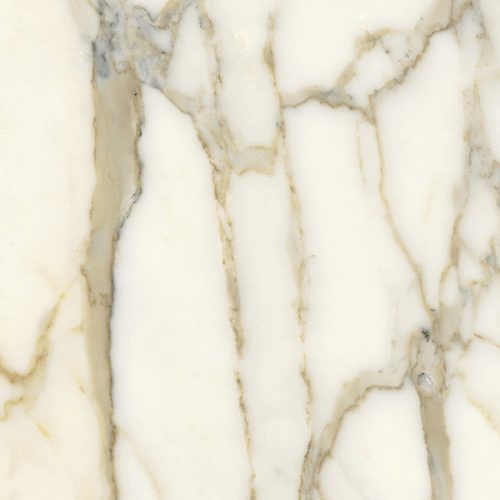 Fiandre Marble Lab Calacatta Elite - 300 x 600  x 8 mm