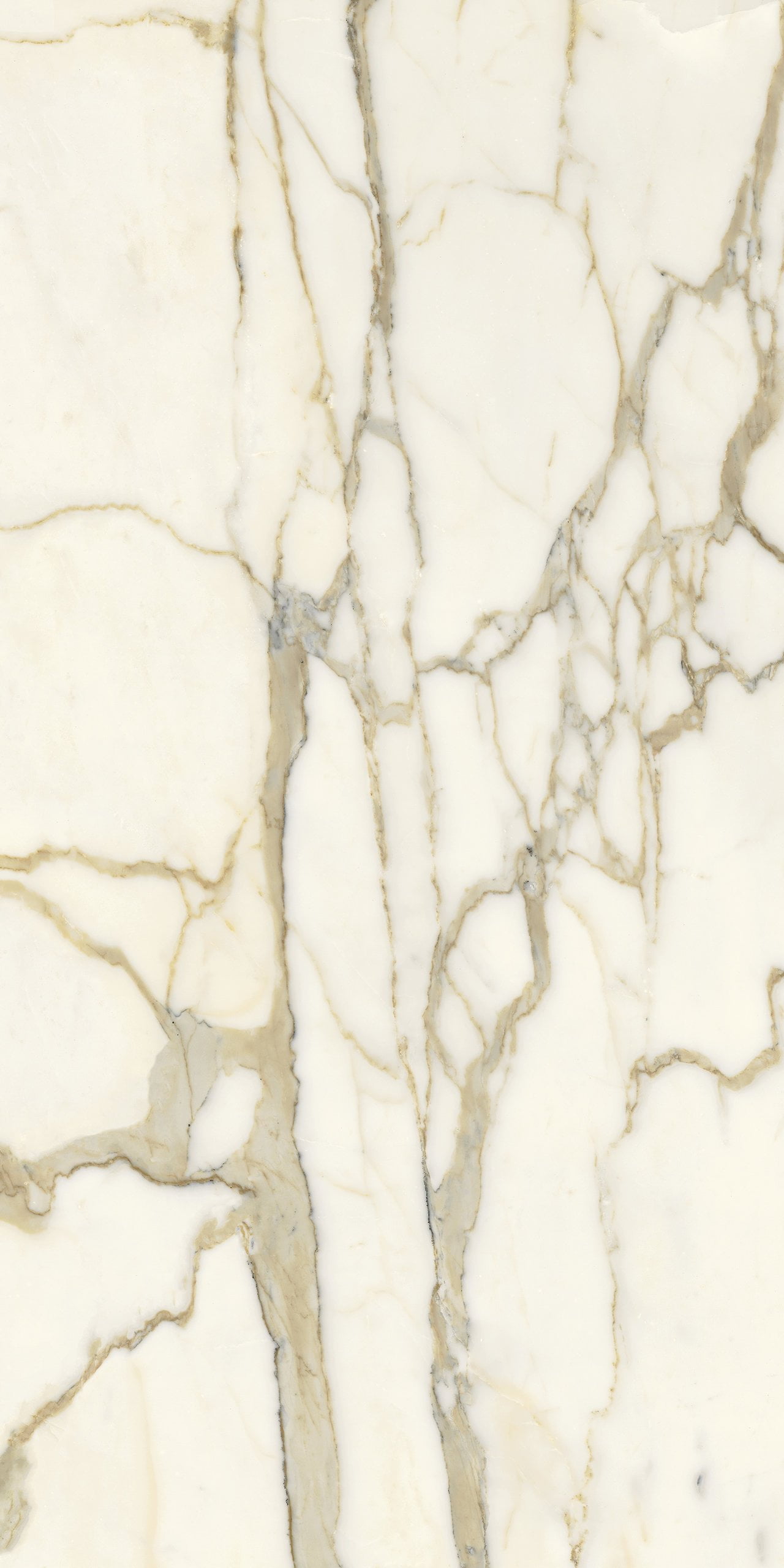 Fiandre Marble Lab Calacatta Elite Marble effect porcelain tiles ...