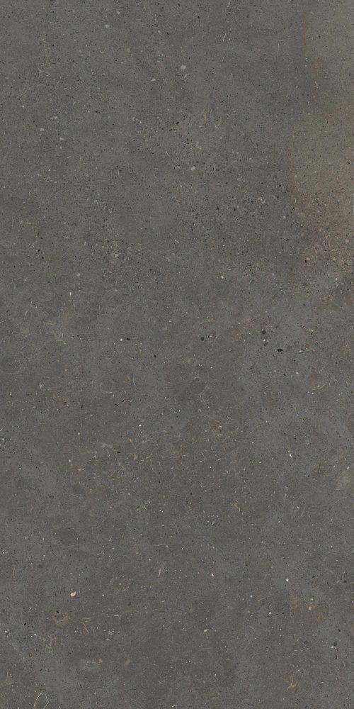Swatch for Fiandre Solida Anthracite - 600 x 600  x 9 mm
