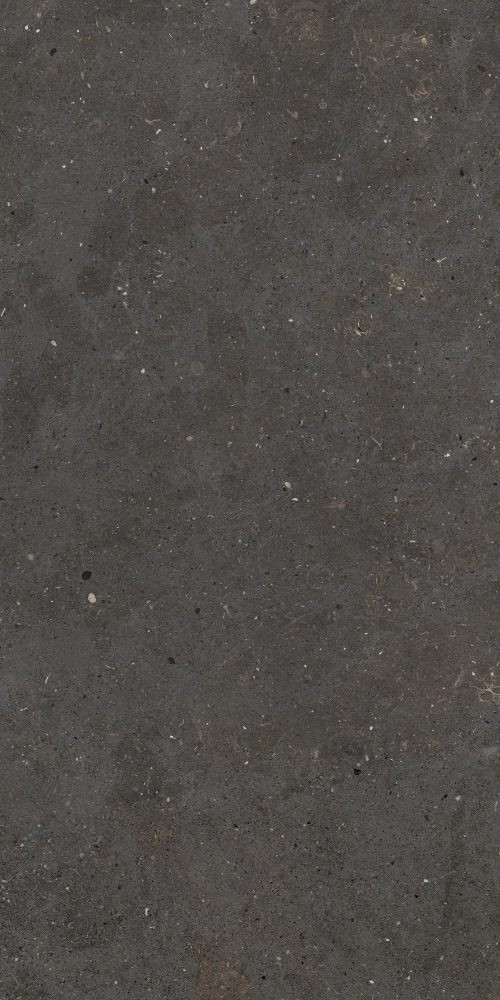 Swatch for Fiandre Solida Black - 600 x 600  x 9 mm